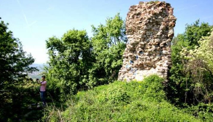 Cetatea regala a Hategului, Romania, Romania